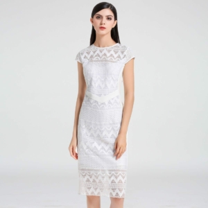 Tailor Cap Sleeves Lace and Jersey Dress